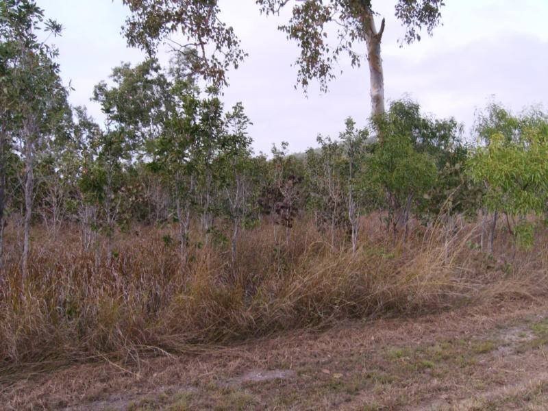 Lots 13-14  Midge Point Road, Midge Point QLD 4799