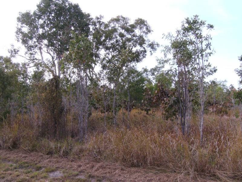 Lots 13-14  Midge Point Road, Midge Point QLD 4799