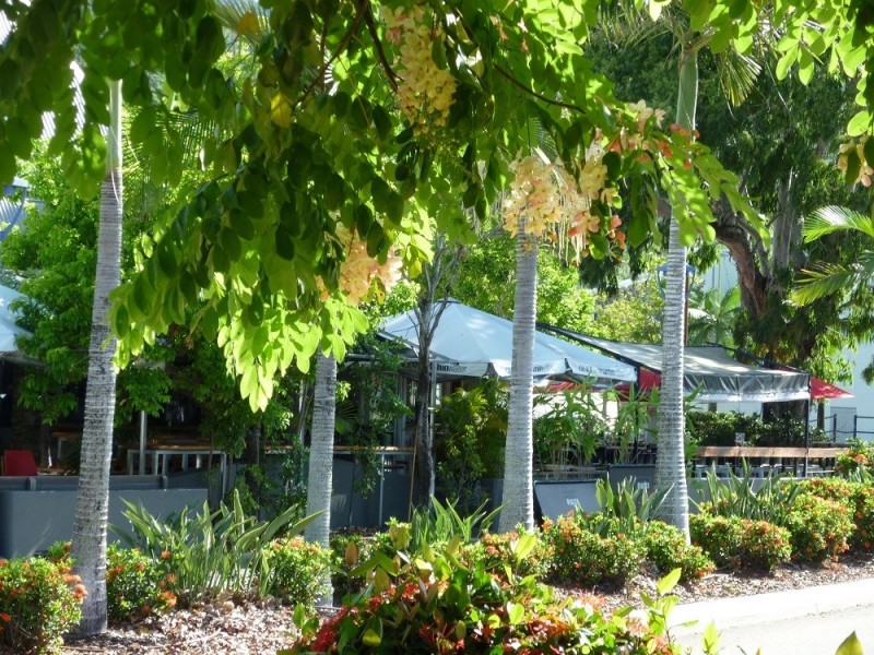 Airlie Beach QLD 4802