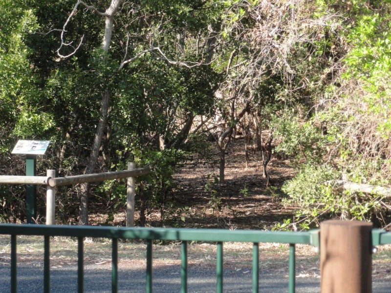 67 Trochus Street, Dingo Beach QLD 4800