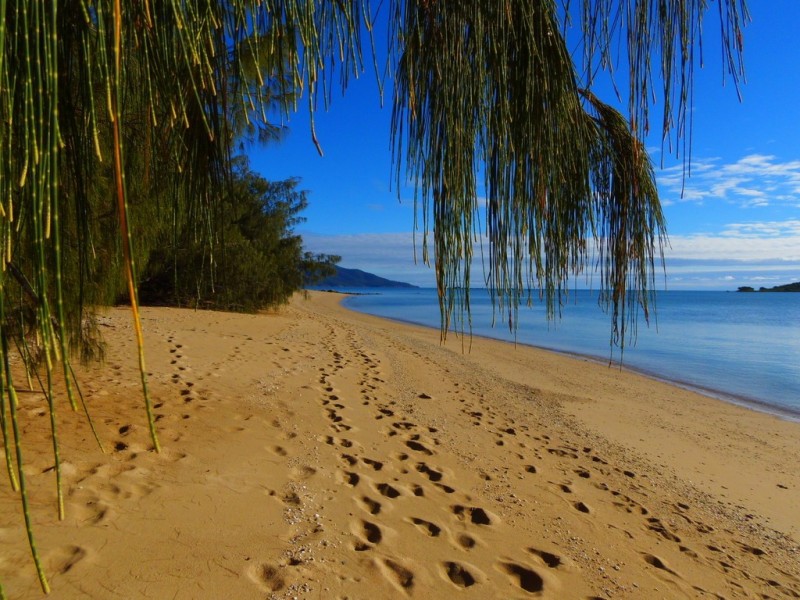 67 Trochus Street, Dingo Beach QLD 4800