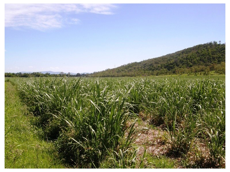 204 Gregory Cannon Valley Road, Gregory River QLD 4660