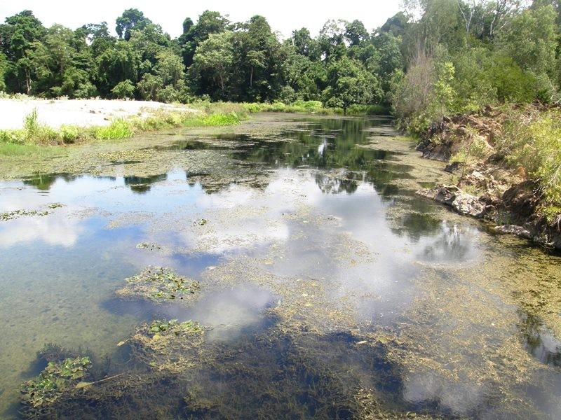 1783 Gunyarra Road, Proserpine QLD 4800