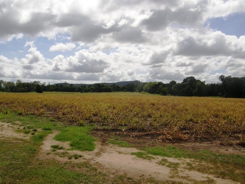 1783 Gunyarra Road, Proserpine QLD 4800