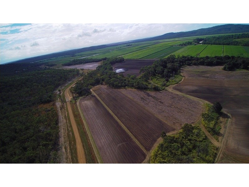 1783 Gunyarra Road, Proserpine QLD 4800