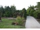22 Glen Isla Road, Proserpine QLD 4800