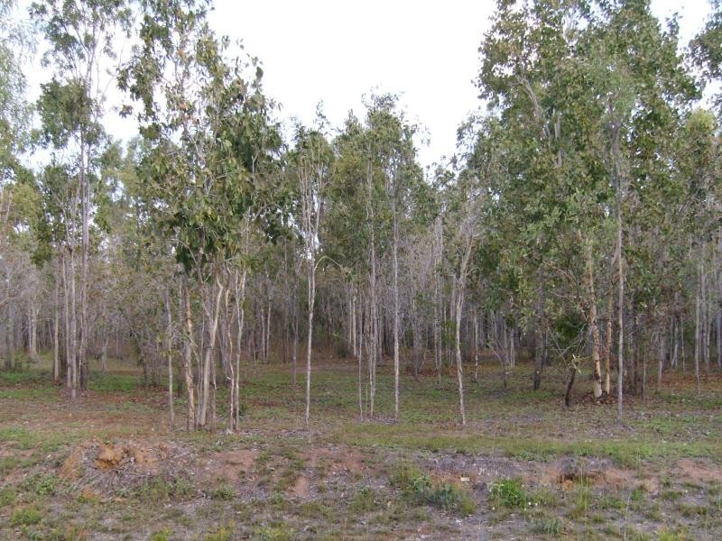 3 Conder Parade, Midge Point QLD 4799