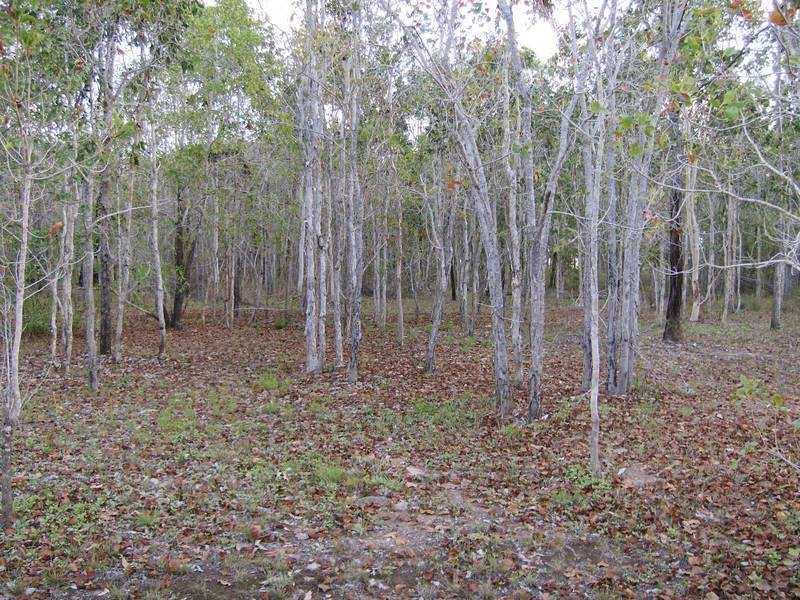 3 Conder Parade, Midge Point QLD 4799