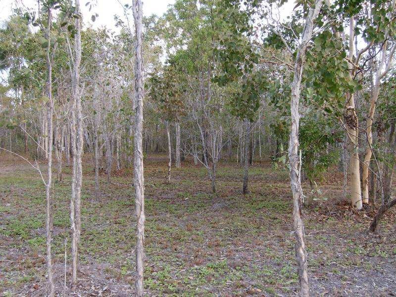 3 Conder Parade, Midge Point QLD 4799