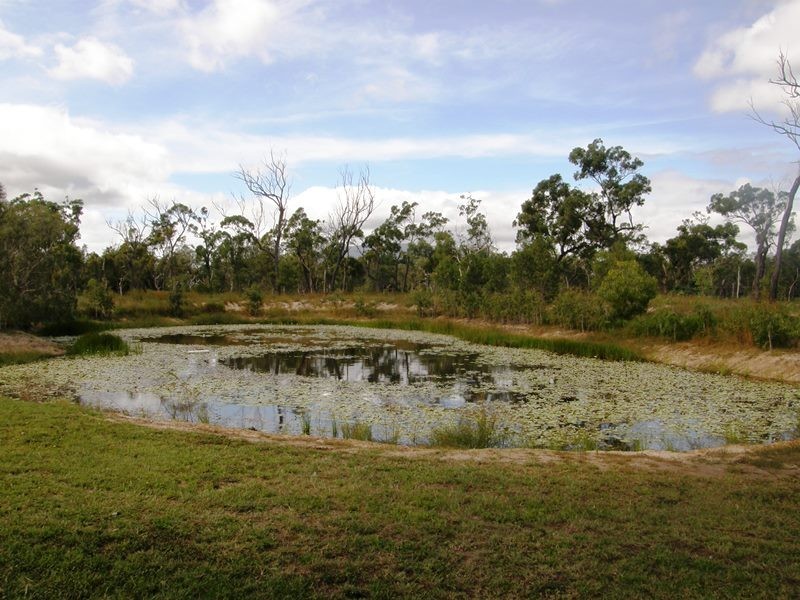 14703 Bruce Highway, Gregory River QLD 4800