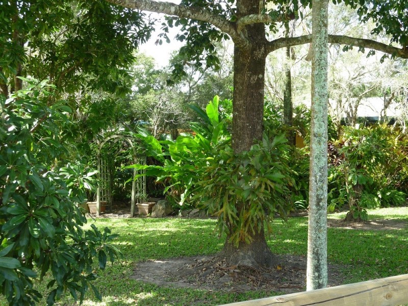 136 Conway Road, Preston QLD 4800