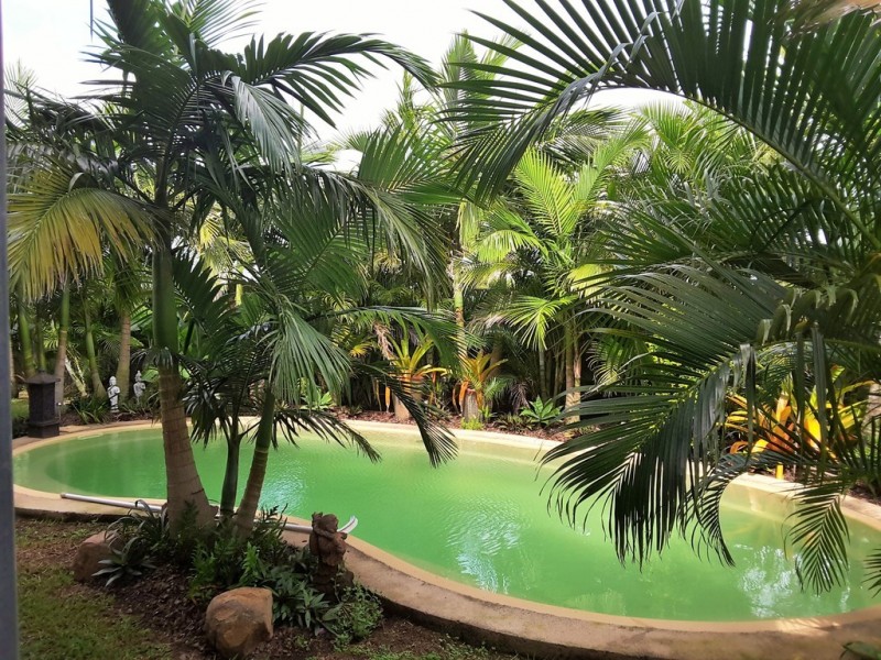 4 Cascara Street, Proserpine QLD 4800