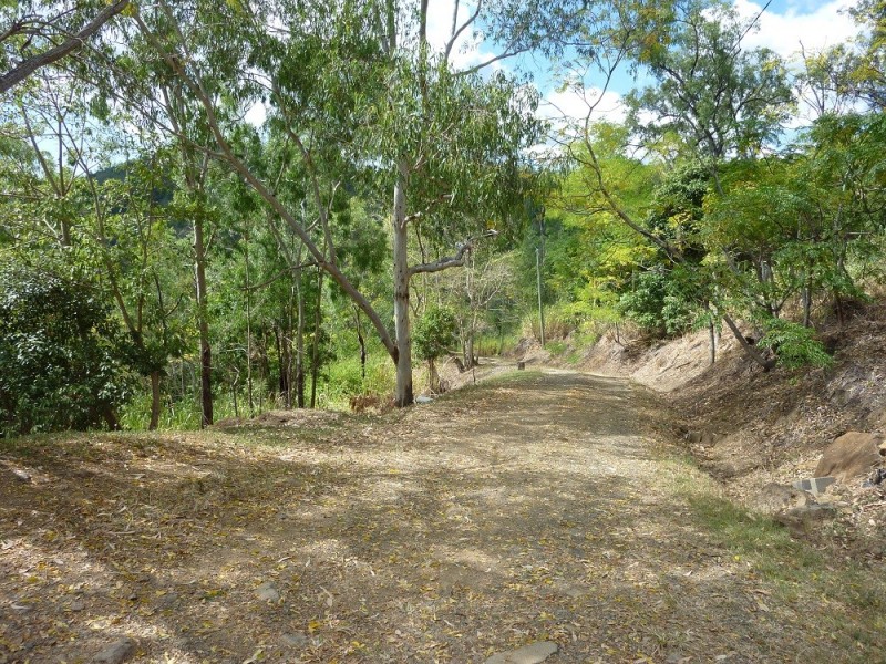 363 Paluma Road, Woodwark QLD 4802