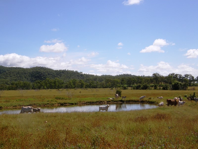 38 Fry Rd, Andromache QLD 4800