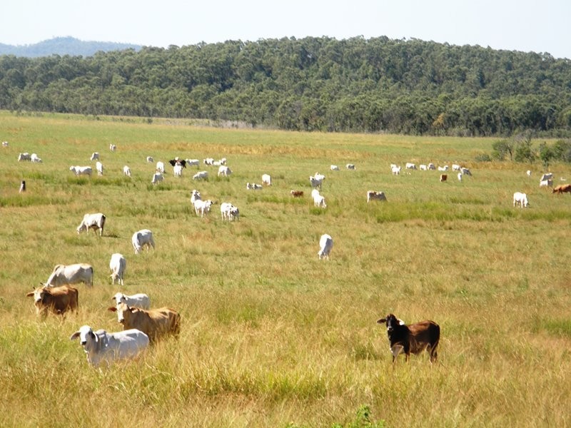 38 Fry Rd, Andromache QLD 4800