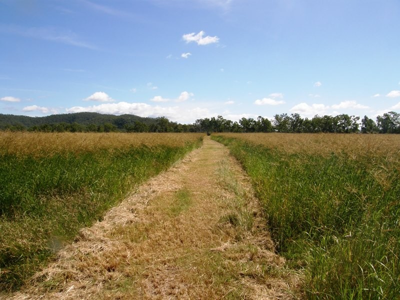 38 Fry Rd, Andromache QLD 4800