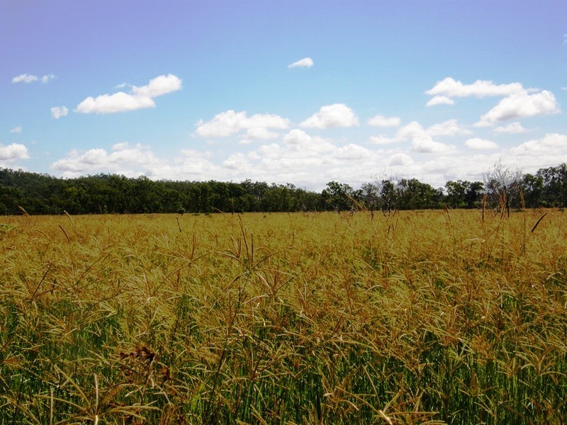 38 Fry Rd, Andromache QLD 4800