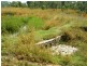 38 Fry Rd, Andromache QLD 4800