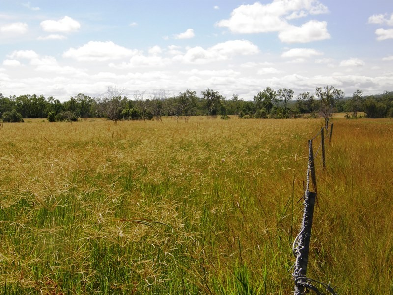 38 Fry Rd, Andromache QLD 4800