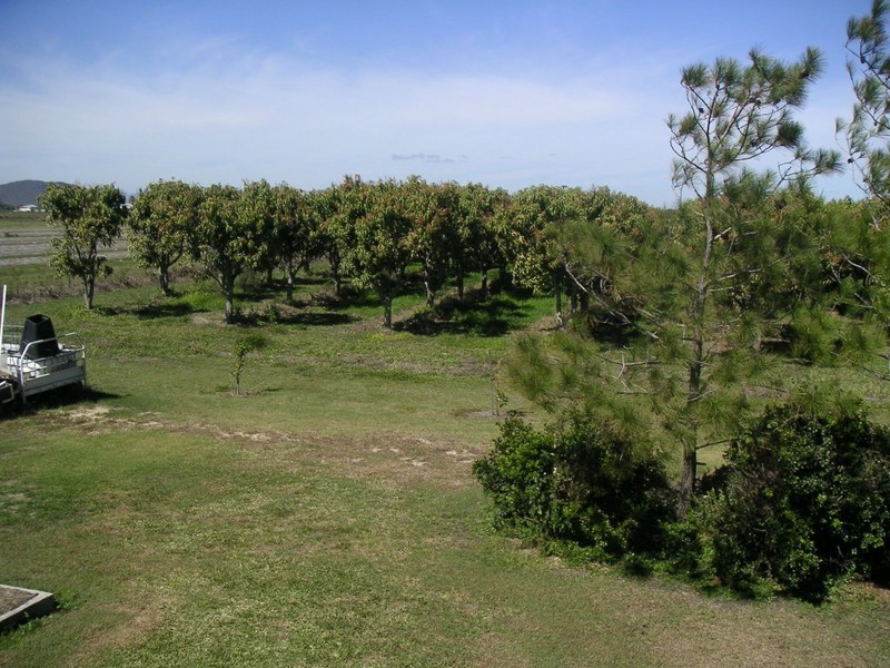 171 Telegraph Rd, Bowen QLD 4805