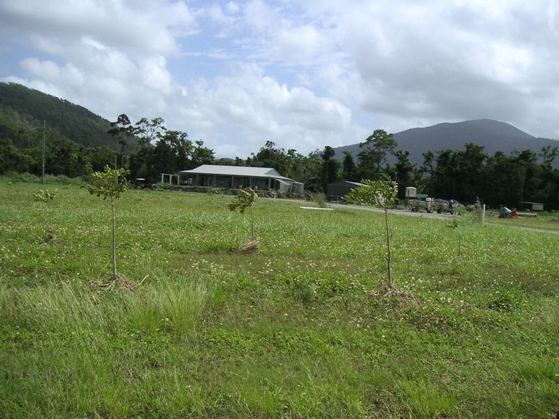 15 Gregory Cannon Valley Rd, Gregory River QLD 4800