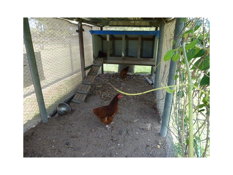 11 Mt Nutt Road, Bowen QLD 4805