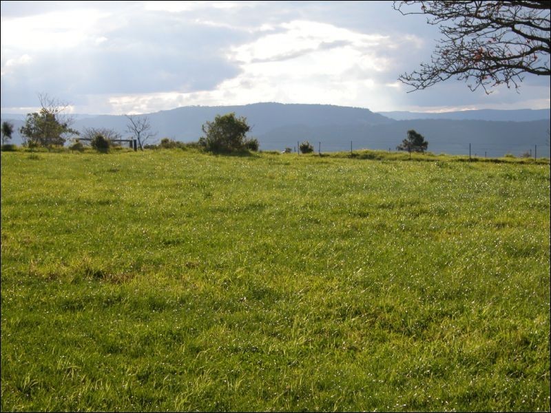 92 Jerrara Road, Jamberoo NSW 2533