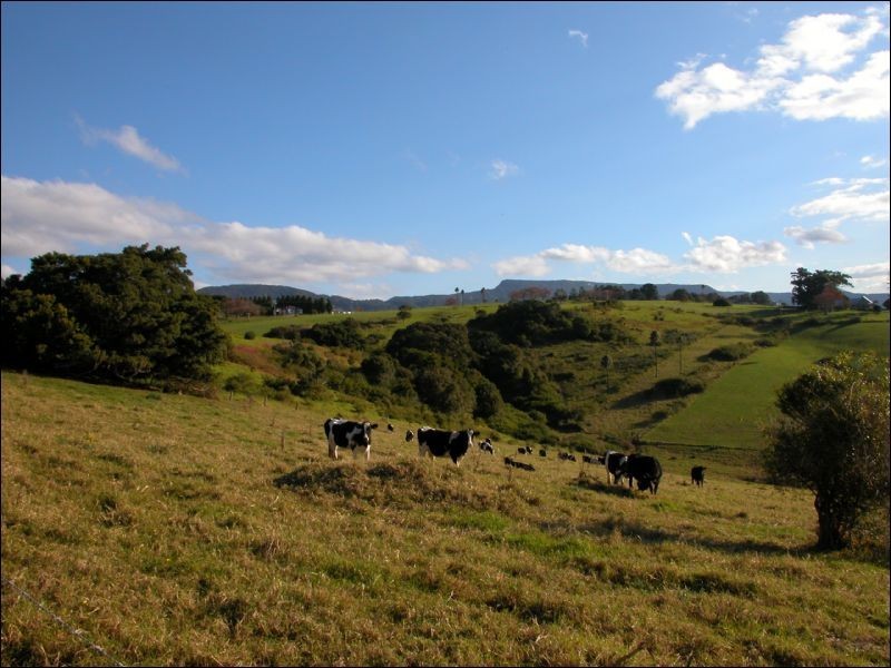 92 Jerrara Road, Jamberoo NSW 2533