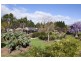 64 O’Keeffes Lane, Jaspers Brush NSW 2535