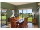64 O’Keeffes Lane, Jaspers Brush NSW 2535