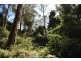 Lot 13 Suffolk Road, Tomerong NSW 2540