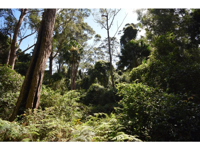 Lot 13 Suffolk Road, Tomerong NSW 2540
