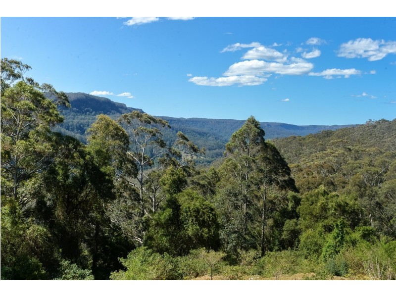 1136 KANGAROO VALLEY ROAD, Bellawongarah NSW 2535