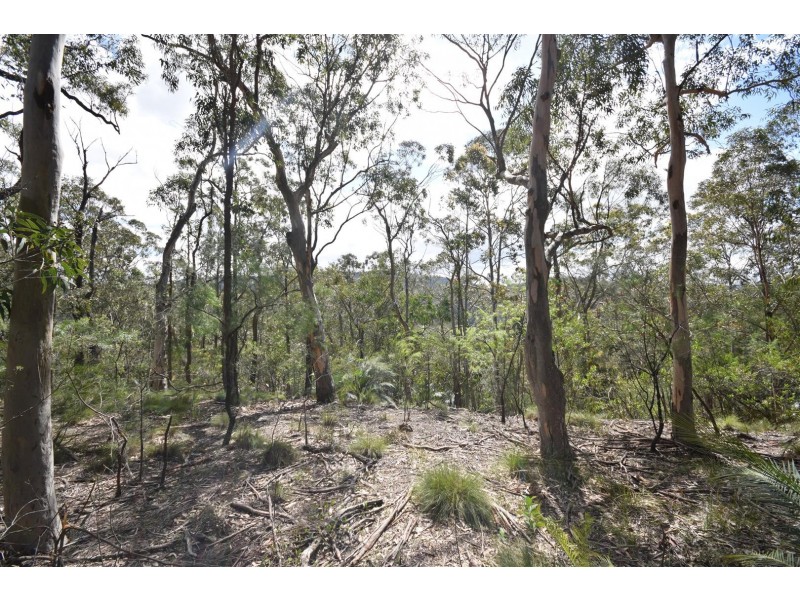 1 DP 1019659 Burrier Rd, Barringella NSW 2540