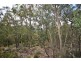 1 DP 1019659 Burrier Rd, Barringella NSW 2540