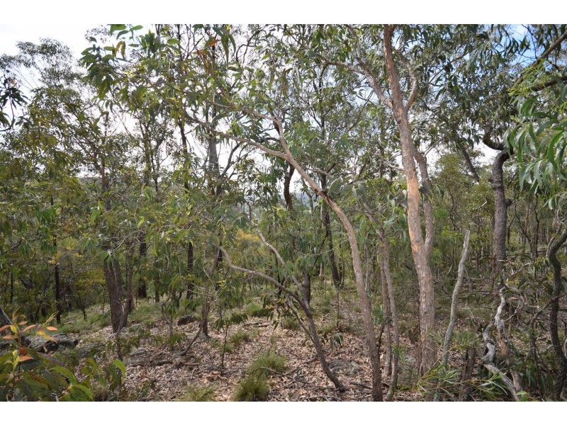 1 DP 1019659 Burrier Rd, Barringella NSW 2540