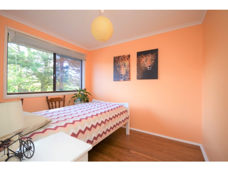 17 Seccombe Street, Nowra NSW 2541