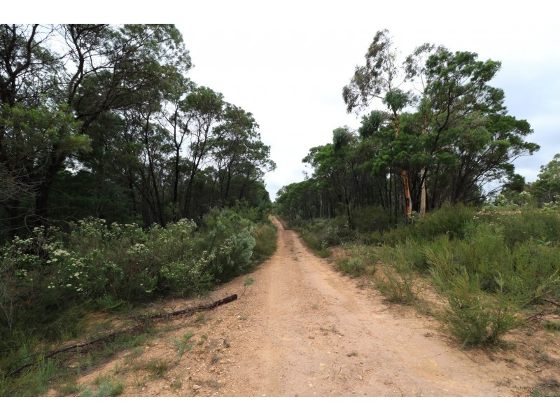 482 Oallen Road, Nerriga NSW 2622