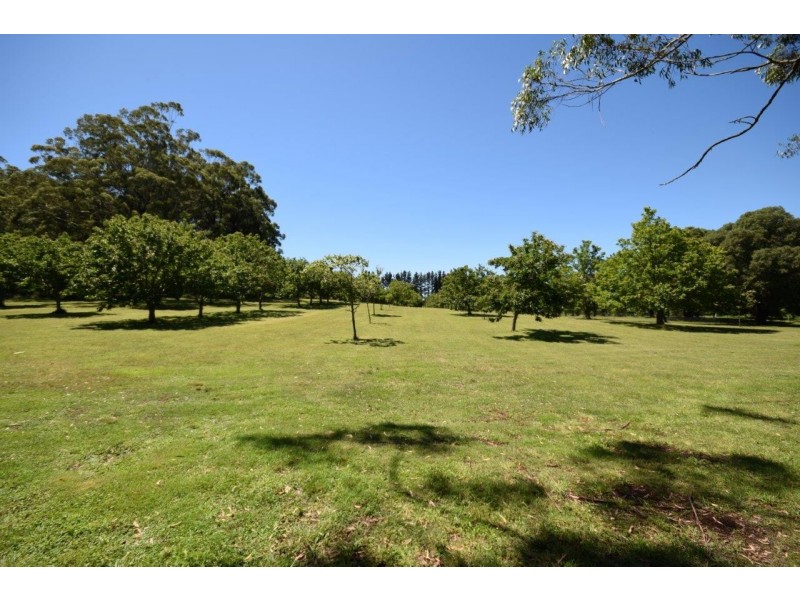 4213 Braidwood Road, Nerriga NSW 2622