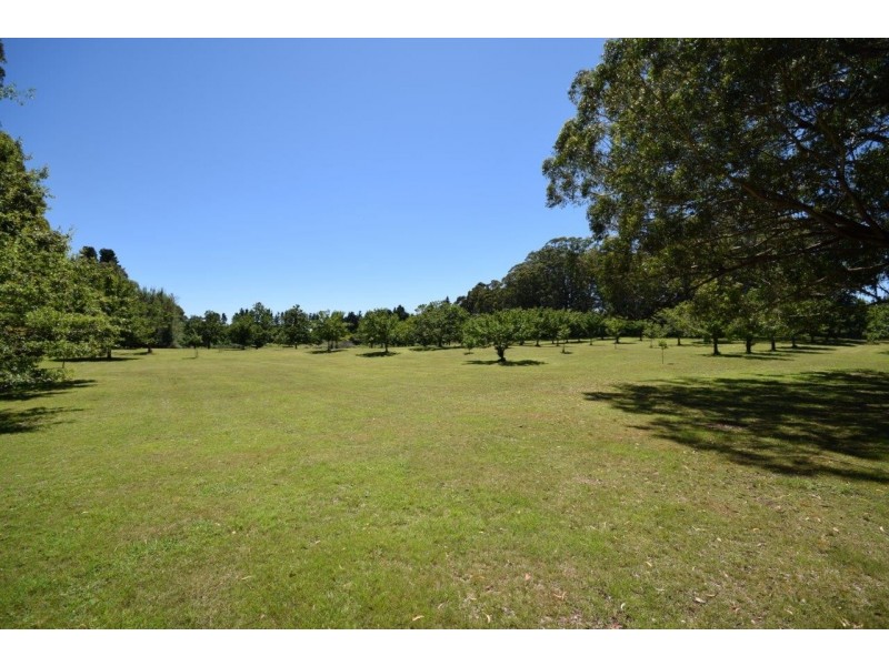 4213 Braidwood Road, Nerriga NSW 2622