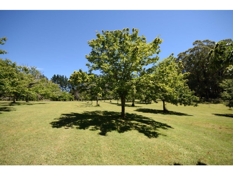 4213 Braidwood Road, Nerriga NSW 2622