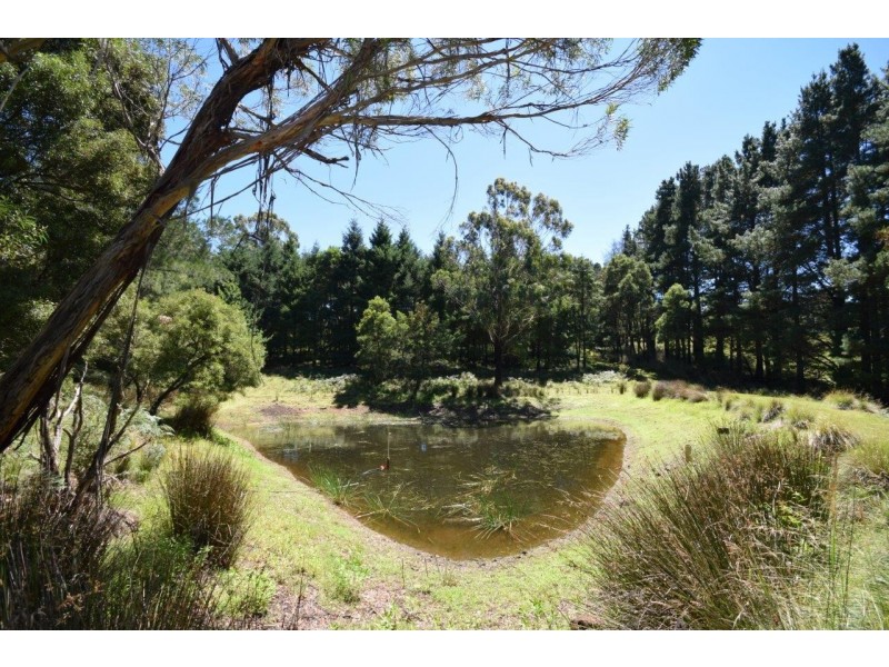 4213 Braidwood Road, Nerriga NSW 2622