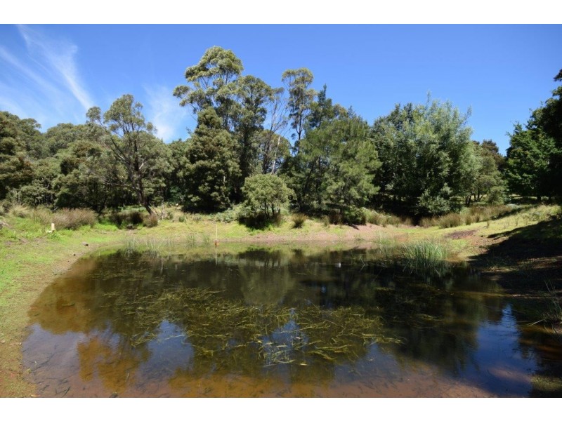 4213 Braidwood Road, Nerriga NSW 2622