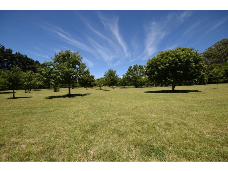 4213 Braidwood Road, Nerriga NSW 2622