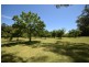 4213 Braidwood Road, Nerriga NSW 2622