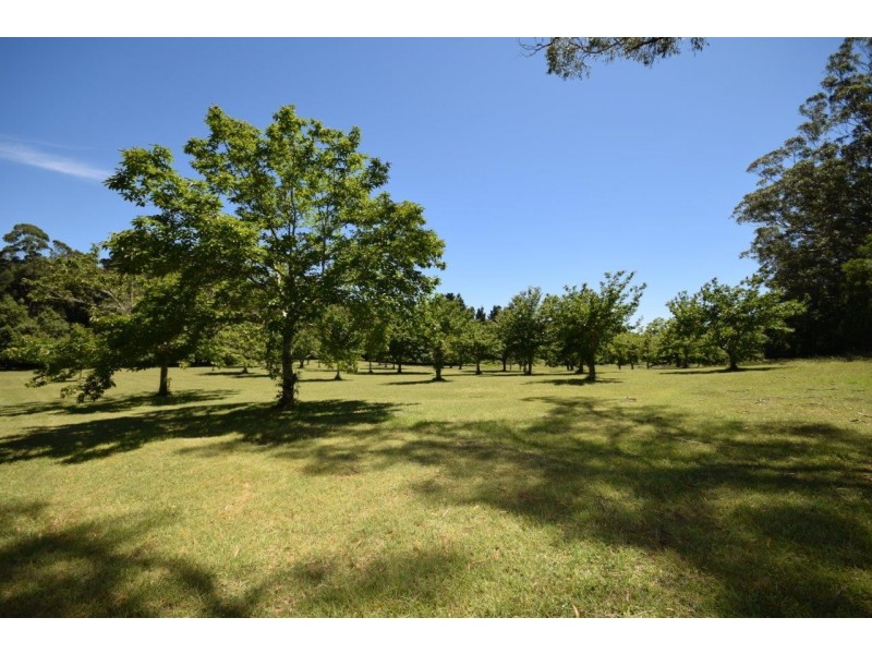 4213 Braidwood Road, Nerriga NSW 2622