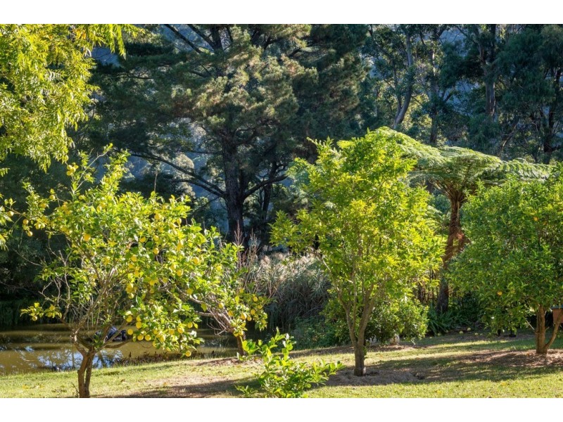 491 Woodhill Mountain Road, Berry NSW 2535