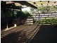 1 BOORAGAL PLACE, North Nowra NSW 2541