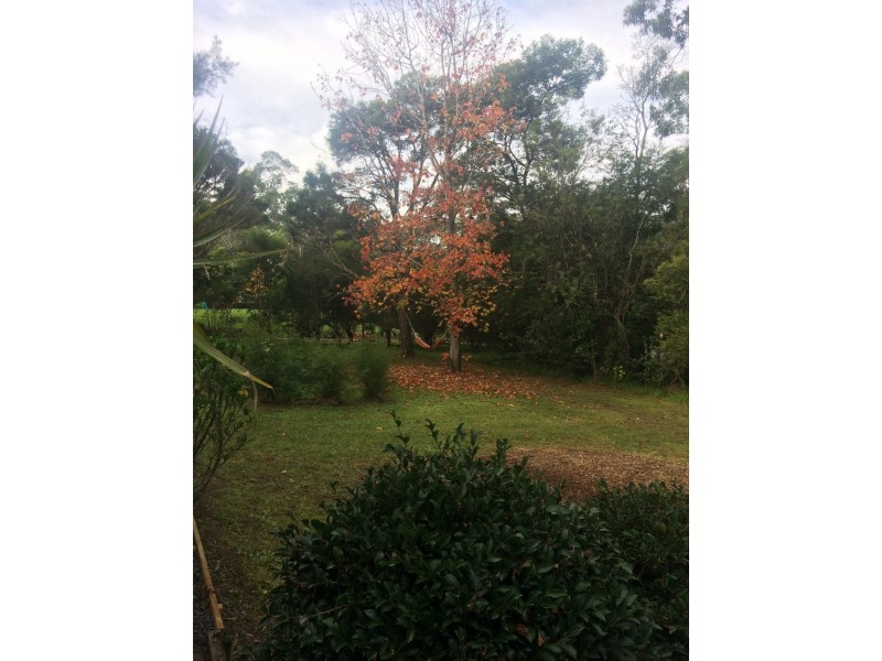 6 Tallimba Road, Tapitallee NSW 2540