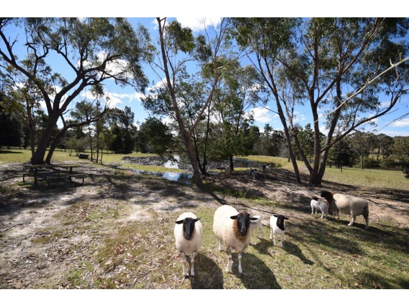 90 Old Berrara Road, Sussex Inlet NSW 2540